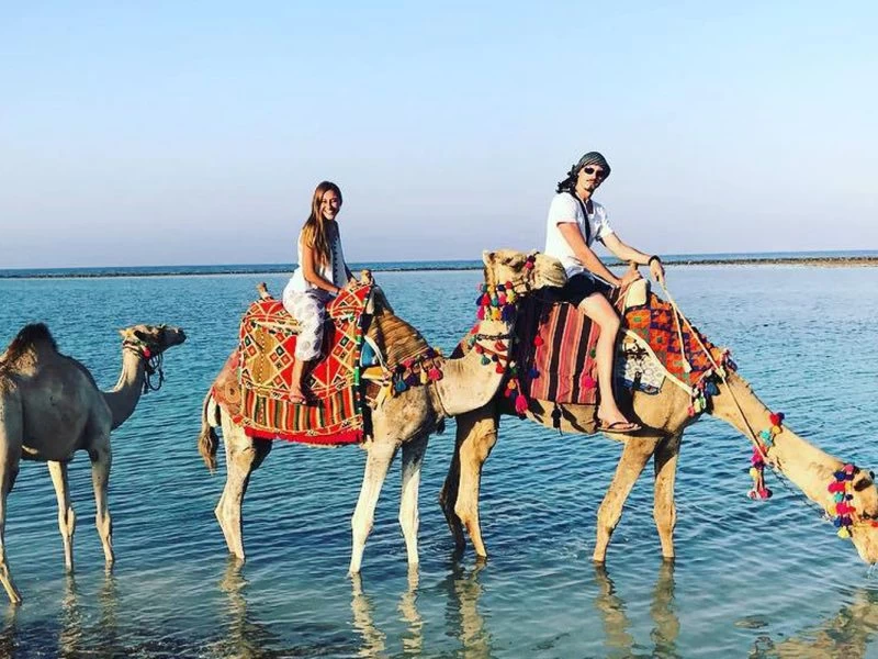 باقة شهر العسل